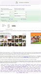 Mobile Screenshot of lostamigos.com